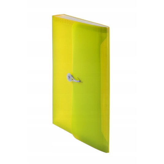 Teczka harmonijka A4 TETIS 13 przegródek żólta