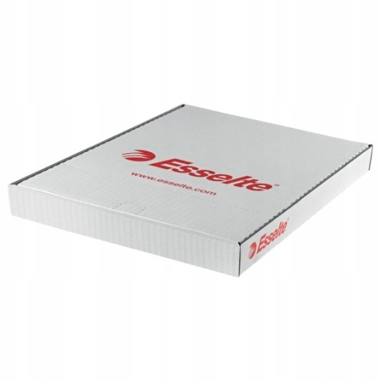 Koszulki A4 Esselte 55 mic krystal pudelko 100 szt