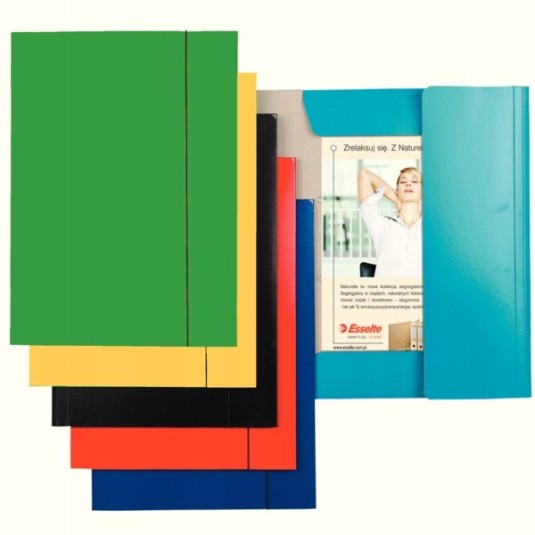 Teczka z gumką ESSELTE A4 lakierowana zielona
