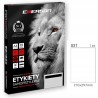 Etykiety samoprzylepne EMERSON 210x297mm A4 100szt