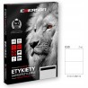 Etykiety samoprzylepne EMERSON 210x148 A4 100szt.