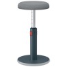 Ergonomiczny stołek Leitz Ergo Cosy, szary