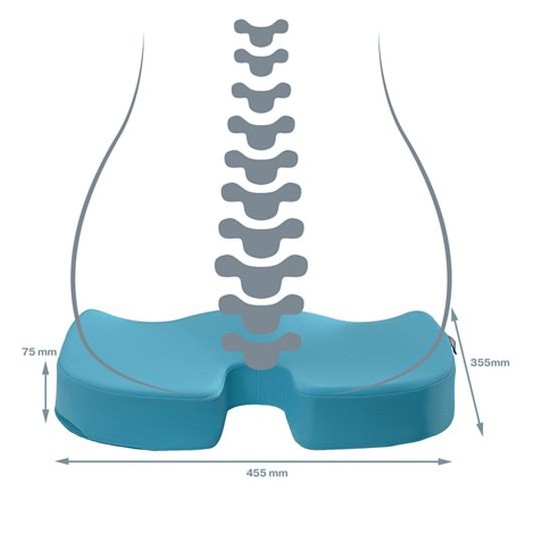 Ortopedyczna poduszka na krzesło Leitz Ergo Cosy, niebieska