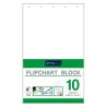 Blok flipchart 10 kartek gładki Interdruk