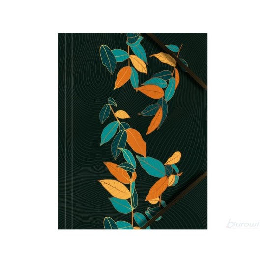 Teczka kartonowa z gumką A4 grafika  liście  op. 6 szt.