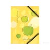 Teczka kartonowa z gumką A4 grafika owoce op. 6 sztuk