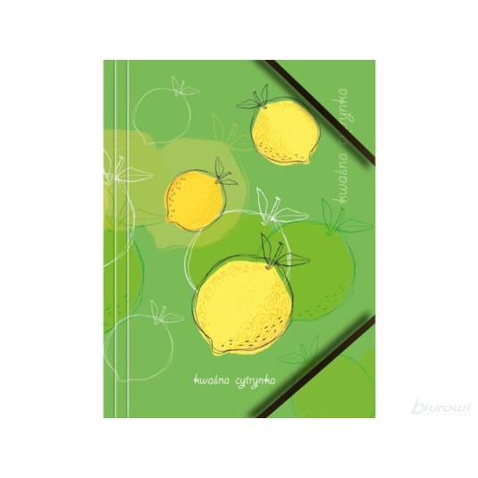 Teczka kartonowa z gumką A4 grafika owoce op. 6 sztuk