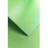 Papier wizytówkowy Millenium zielony A4 220g/m2  20 arkuszy do drukarek  laserowych