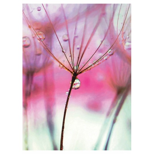 ZESZYT szkolny  A5/60 kartek w  linię  Gimboo