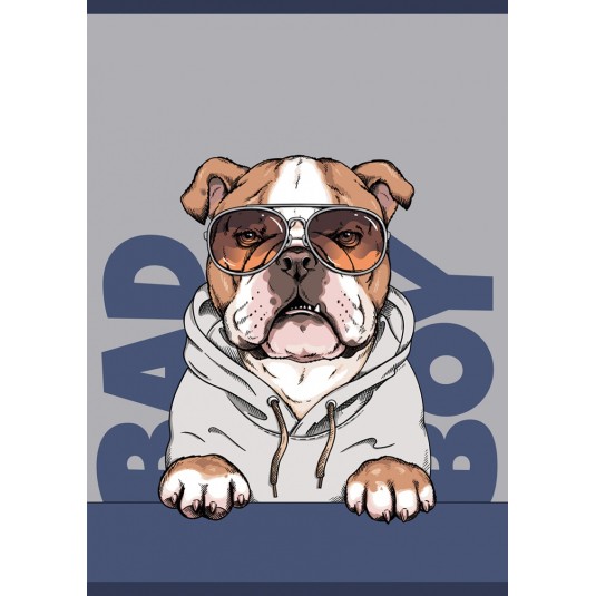 ZESZYT SZKOLNY A5/32 LINIA KOLOR GIMBOO