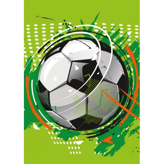 ZESZYT SZKOLNY A5/32 LINIA KOLOR GIMBOO