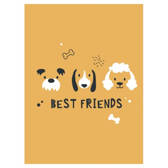 ZESZYT SZKOLNY A5/16 3 LINIE KOLOROWE GIMBOO