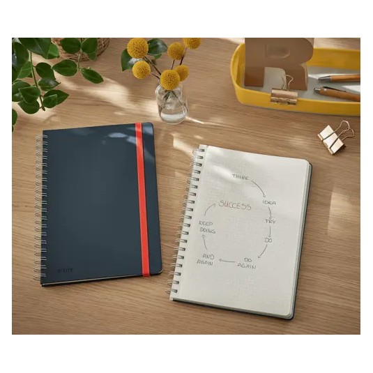 Kołonotatnik Leitz Cosy B5 kratka szary notes