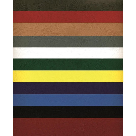 Okładka do bindowania A4 karton Delta skóropodobna, czarna, Argo