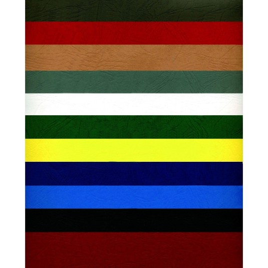 Okładka do bindowania A4 Delta skóropodobny, granatowa, ARGO