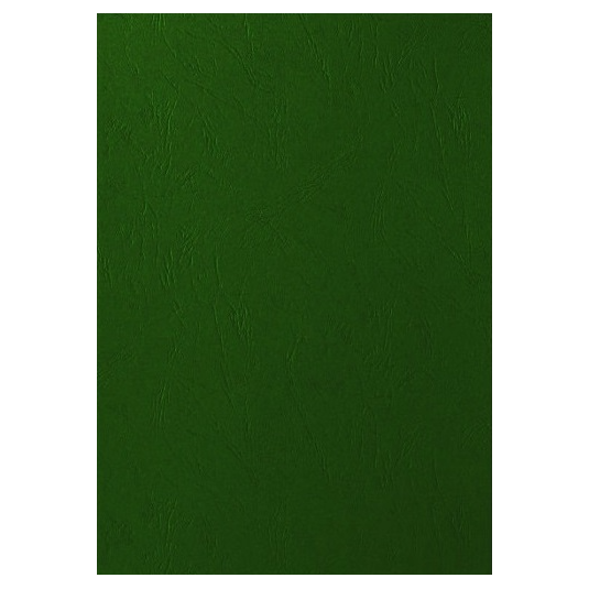 Okładka A4 do bindowania skórpodobna zielona Delta, op. 100 sztuk, Argo