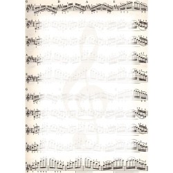 Dyplom A4 Nuty, 25 arkuszy