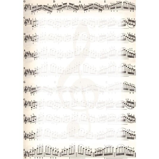 Dyplom A4 Nuty, 25 arkuszy