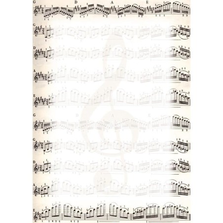 Dyplom A4 Nuty, 25 arkuszy