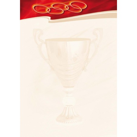 Dyplom A4 Sport, 25 arkuszy