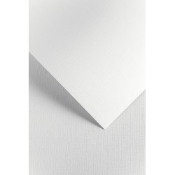 Papier wizytówkowy, Kratka, biały, 240 g (20 arkuszy)