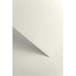 Papier ozdobny Floryda, biały, 220g (20 arkuszy)