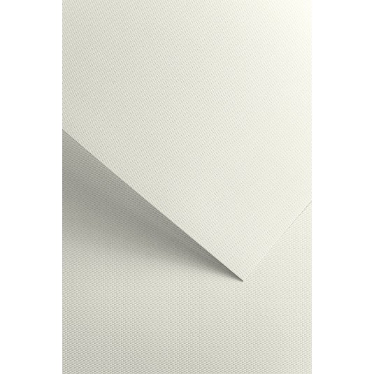 Papier ozdobny Floryda, biały, 220g (20 arkuszy)