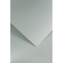 Papier ozdobny Gładki, jasnoszary, 210 g (20 arkuszy)