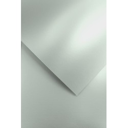 Papier ozdobny Millenium, srebrny, 220g (20 arkuszy)