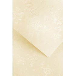 Papier ozdobny Floral, kremowy, 220g (20 arkuszy)