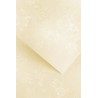Papier ozdobny Floral, kremowy, 220g (20 arkuszy)