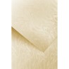 Papier ozdobny Papirus kremowy, 220g (20 arkuszy)