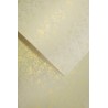 Papier ozdobny Liście, kremowy, 250g (20 arkuszy)