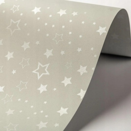 Papier wizytówkowy Stars, srebrny, 220g (20 arkuszy)