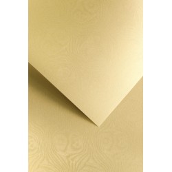 Papier ozdobny Royal, złoty, 250g (20 arkuszy)