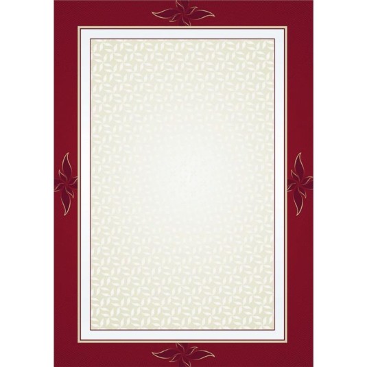 Dyplom Majestic, 170g (25 arkuszy)