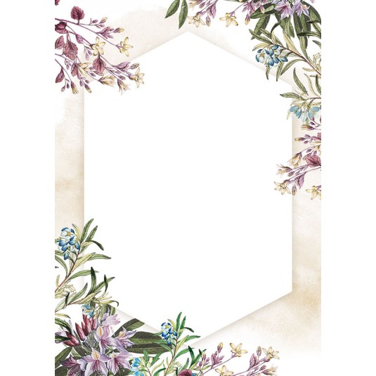 Dyplom Umbria, 170 g (25 arkuszy)