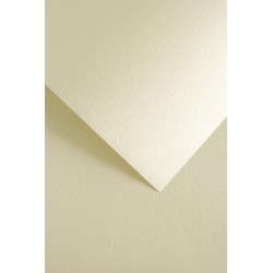 Papier ozdobny Skóra, kremowy, 230g (20 arkuszy)