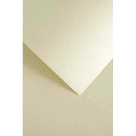 Papier ozdobny Skóra, kremowy, 230g (20 arkuszy)