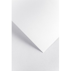 Papier wizytówkowy A4 Len biały 220g/m2 op. 20 arkuszy