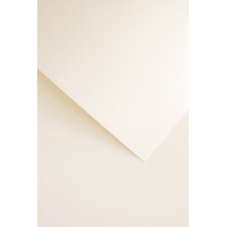Papier wizytówkowy A4 Krata kremowy 220g/m2 op. 20 arkuszy