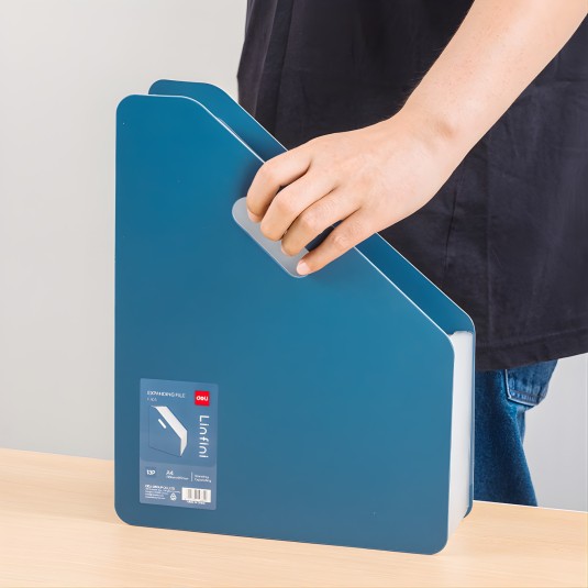 Teczka rozsuwana System Wolnostojący harmonijkowy Linfini Deli 1 szt.