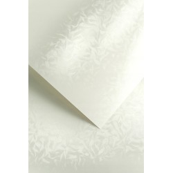 Papier wizytówkowy ozdobny OLYMPIA perłowa biel 220g op. 20 arkuszy