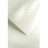 Papier wizytówkowy ozdobny OLYMPIA perłowa biel 220g op. 20 arkuszy