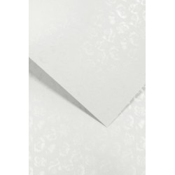 Papier wizytówkowy ozdobny MAŁE RÓŻE biały 220g op. 20 ark.