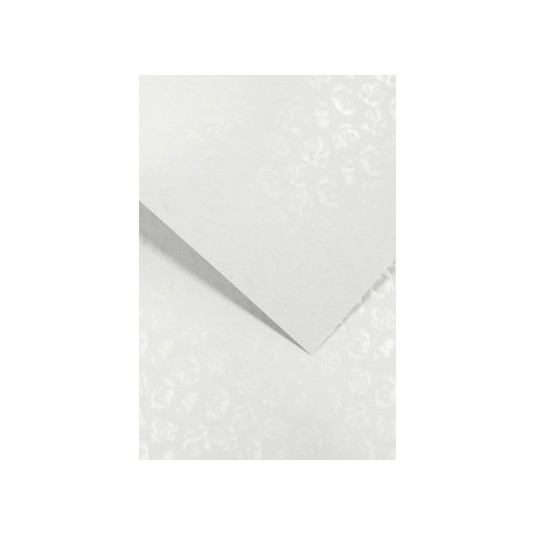 Papier wizytówkowy ozdobny MAŁE RÓŻE biały 220g op. 20 ark.