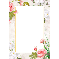 Dyplom A4 Bella 170g 25 sztuk