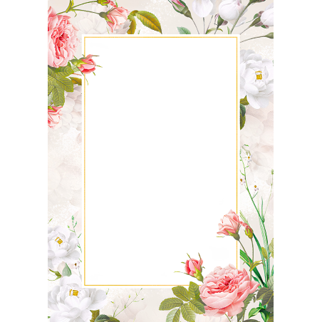 Dyplom A4 Bella 170g 25 arkuszy