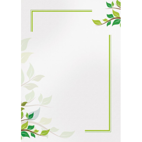 Dyplom A4 Green 170g 25 sztuk