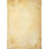 Dyplom A4 Ginkgo 190g 20 arkuszy